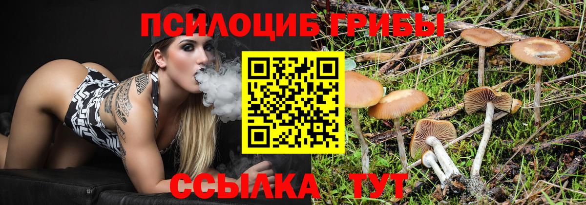 Зеленокумск  Псилоцибиновые грибы Magic Shrooms  Вход с VPN 