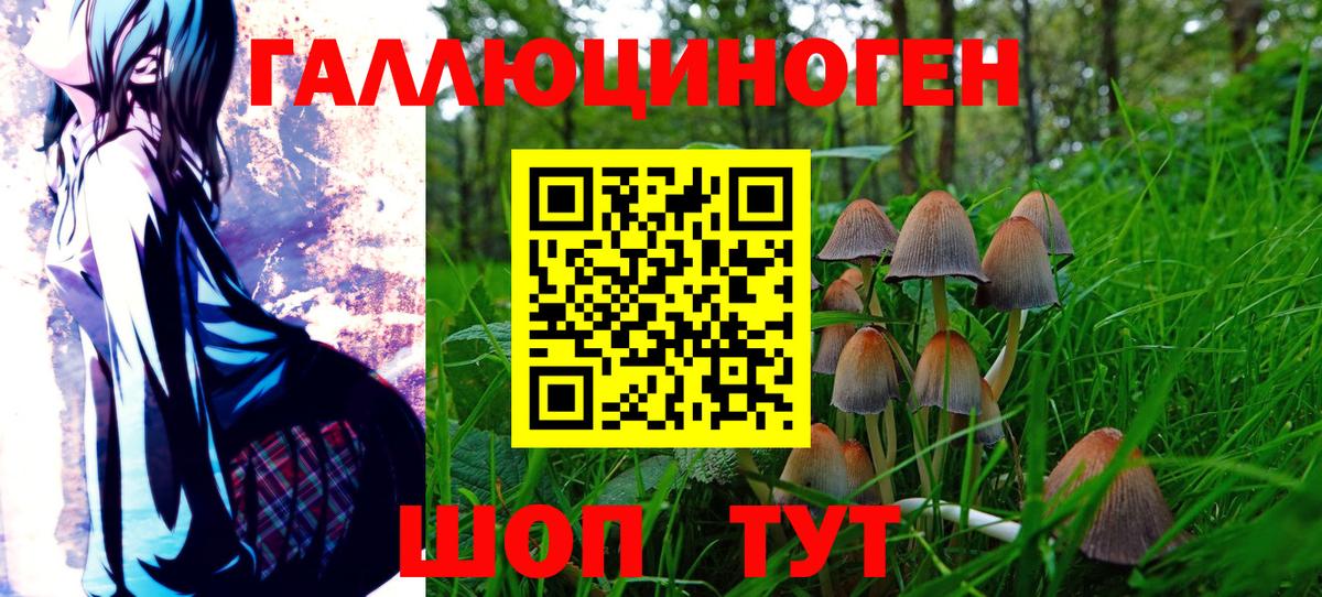 Псилоцибиновые грибы мухоморы Зеленокумск